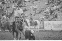 David Blakely Calf roping