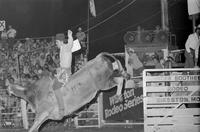 Gene Owen on Bull #R