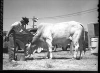 Helen & Rooker Bull - Posed - Butte - Dev
