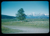 Landscape, Rocky Mountain National Park