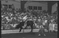 Davey Covert on Bull #113