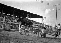 [Unidentified little girl jumping pony over bar held by two men]