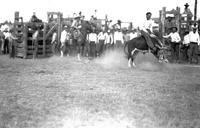 Ted Feeley on Wild Steer Ashland Rodeo
