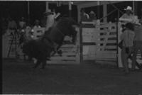 Randy Jackson on Bull #110