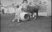Rodeo clown Jeff Kobza fighting Bull #33