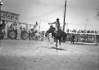 [Unidentified Cowboy riding bronc at Lightning C Ranch Rodeo]