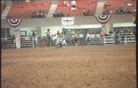 Doug McMillen Steer wrestling