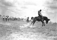 [Unidentified Cowboy losing hat while riding and staying with bucking bronc]