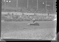 Unidentified pic by Helen  "Clown Bull Fighting"
