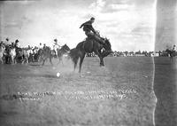 Dave Whyte wins Bucking Contest on "Texico" Cheyenne Frontier Days