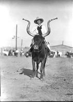 [Possibly Mamie Francis atop Bobby the Steer]