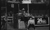 Jerry La Valley on Bull #3