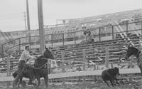 Jake McCoin Calf roping