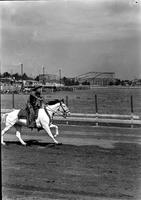 [Unidentified Swift's Jewel cowboy on galloping horse on track]