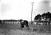 Jack Quait Champion Stunt Rider Fla Cow Capital Round-Up Kissimmee