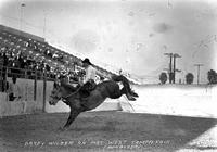 Dandy Wilder on "Mae West" Tampa Fair