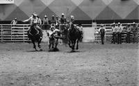 John W. Jones Jr. Steer wrestling