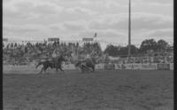 Mark Arnold & Allen Buch Team roping