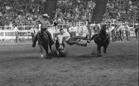 Joel Edmondson Steer wrestling