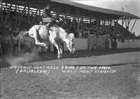 Wallace Cantrell Going for the Mail  Wolf Point Stampede