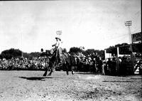 [Unidentified Cowboy riding bronc]