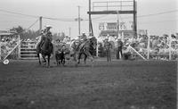 Dale Denton Steer wrestling