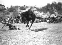 Riley Roberts Thrown from "Klondyke" Remuda Ranch Rodeo, Wickenburg, Ariz.