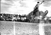 [Unidentified Cowboy on airborne bronc]