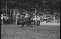 Cleo Hearn Calf roping