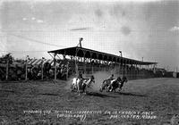 Virginia and Tommie Tompkins Jr. in Chariot Race Dorchester Rodeo