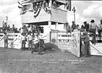 Jerry Ambler Takes a Spill From "Satan" Sheridan, Wyo. Rodeo