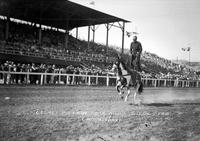 George Pittman Trick Riding Billings Fair.