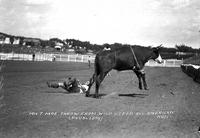 Milt Moe Throw from Wild Steer All American Rodeo