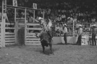 Cody Snyder on Bull #121