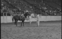 Unidentified Rodeo clown with Bronc