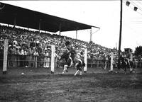 [Two unidentified cowboys on horses, one behind the other, galloping past grandstands waving hats]