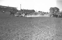 Bill McMakin Steer Wrestling