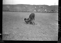 Dwight Spradling Steer Wrestle