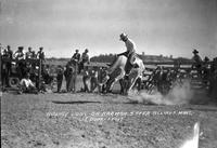 Hughey Long on Braman Steer, Billings, Mont.