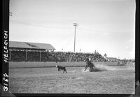 Chuck Shepard Calf Roping