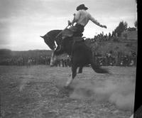 [Unidentified Cowboy with "Tom" on chaps riding and staying with rearing bronc]