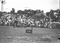 Charlie Shultz and "Danger" his Educated Donkey