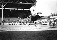 [Unidentified Cowboy on airborne bronc]