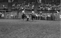 Geo. Hammons Steer wrestling