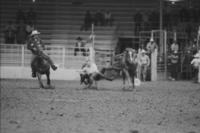 Rex L. Meier Steer wrestling, 4.9 Sec