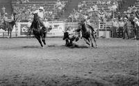 Lance Robinson Steer wrestling