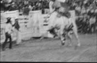 Unidentified rider on unknown Bronc