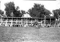 [Unidentified Hatless cowboy is riding and staying with his mount in front of chutes]