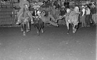 John Andrews Steer wrestling