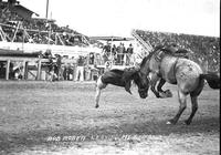 Bob Boden Leaving "Mexico"